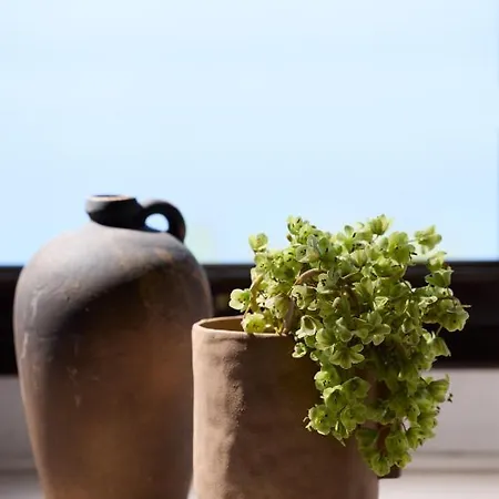 레다 빌리지 호르토